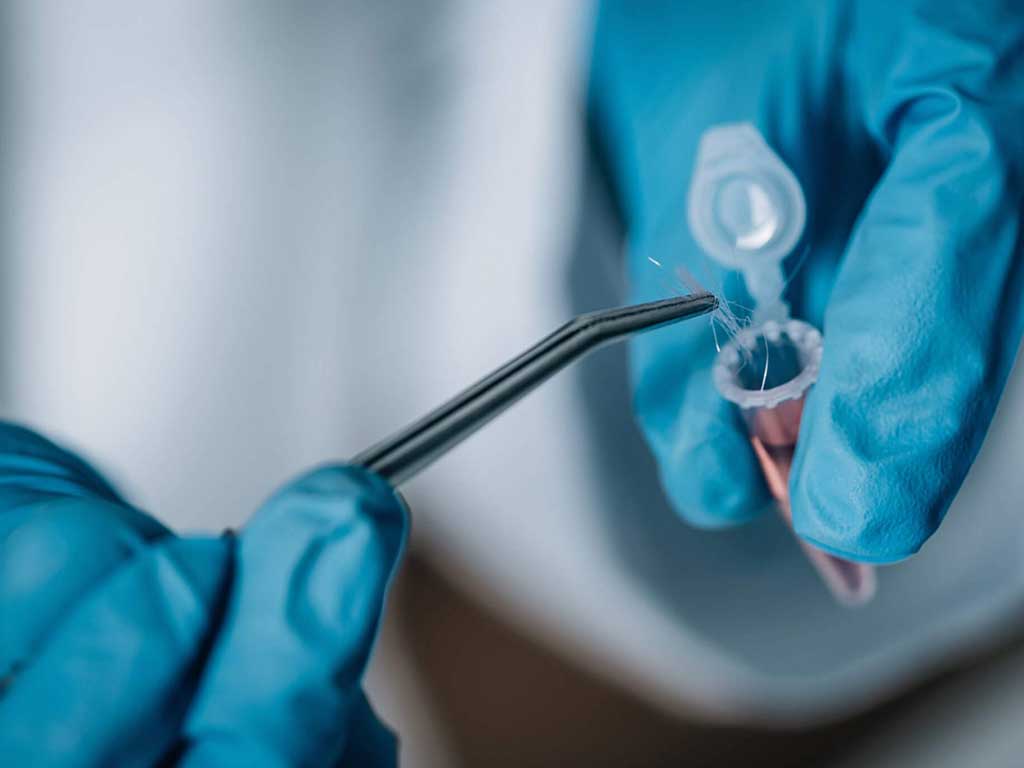A technician placing a hair specimen in a vial using a tweezer